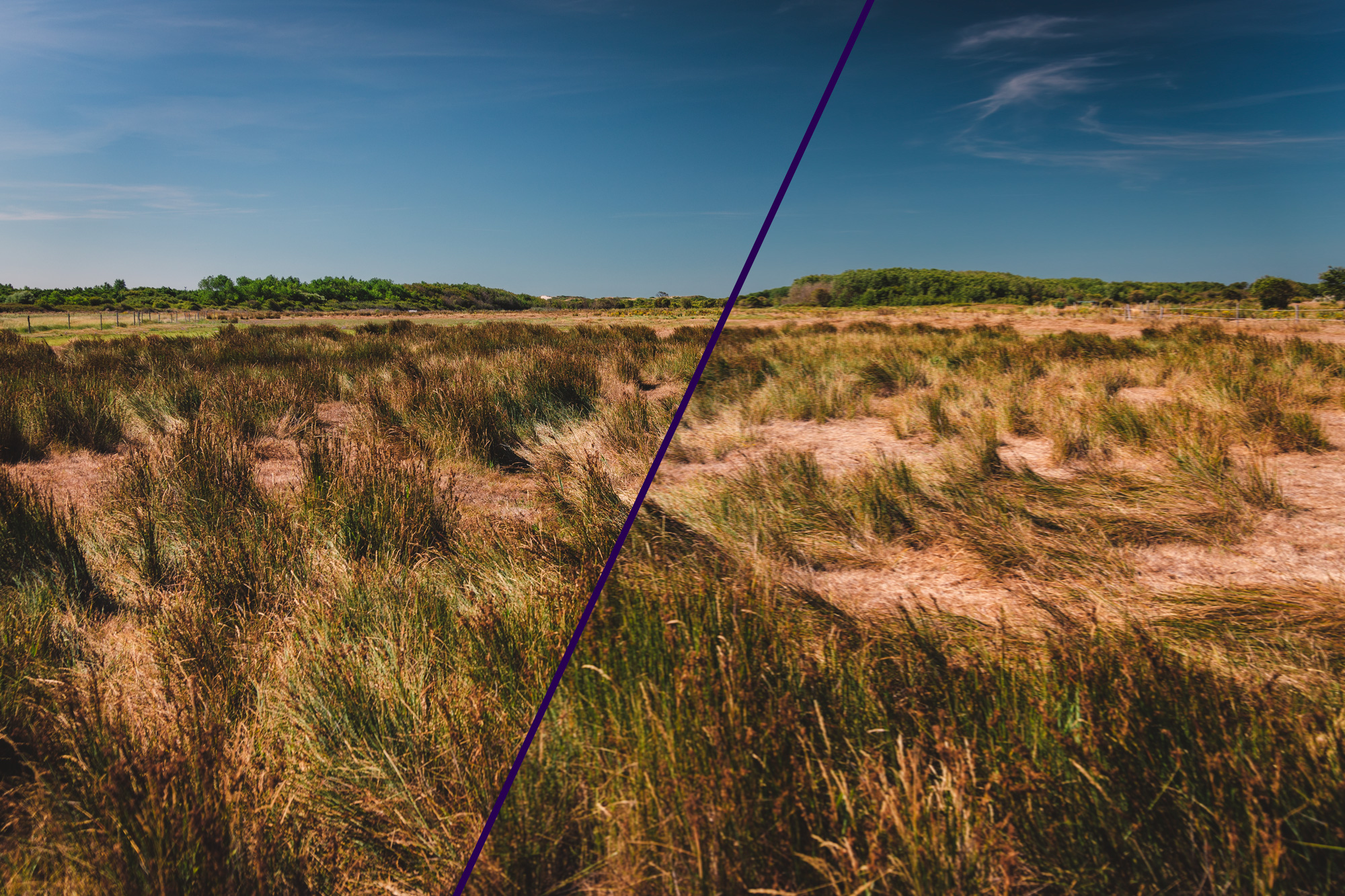 Flou de bougé - La Baie d'Authie, Somme, France