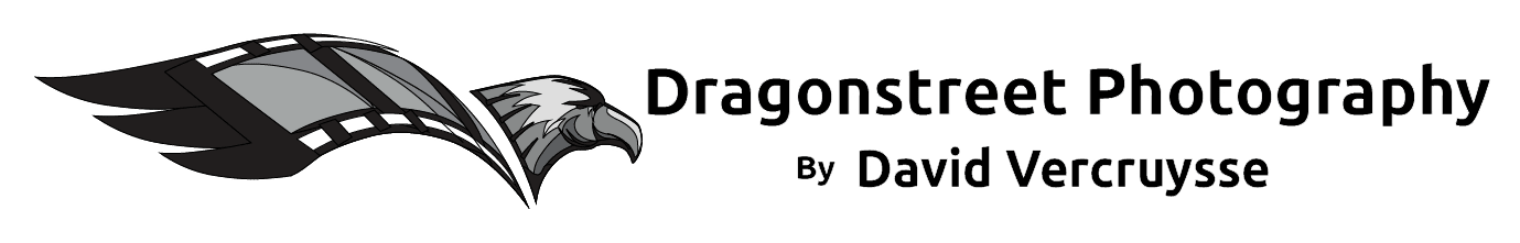 Logo David Vercruysse