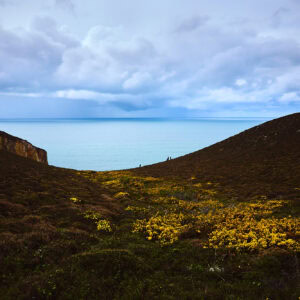 Cap de la chèvre, Bretagne, France - Nature Photographie