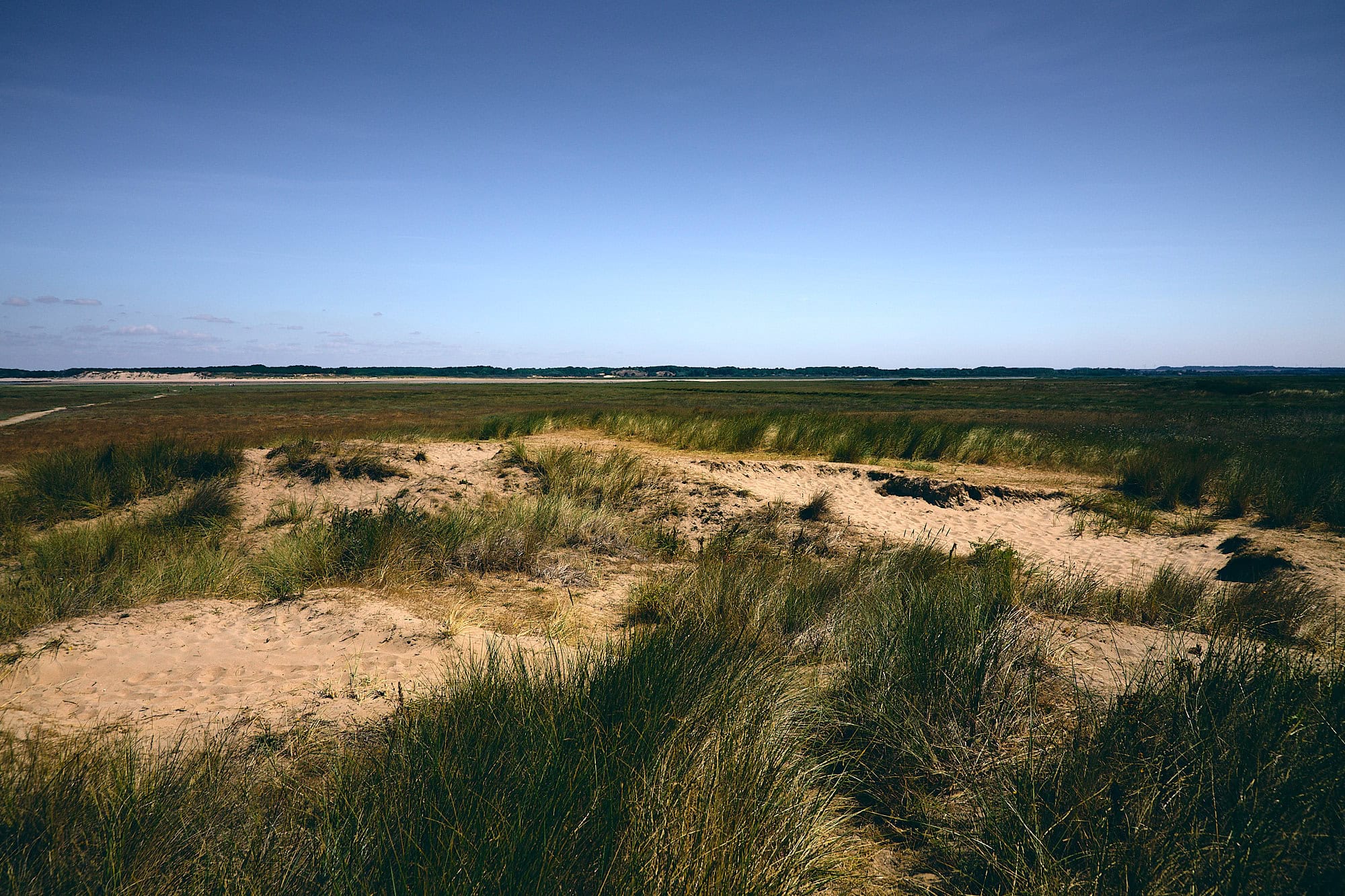 Authie Bay, Somme, France (weather, photos, nature)
