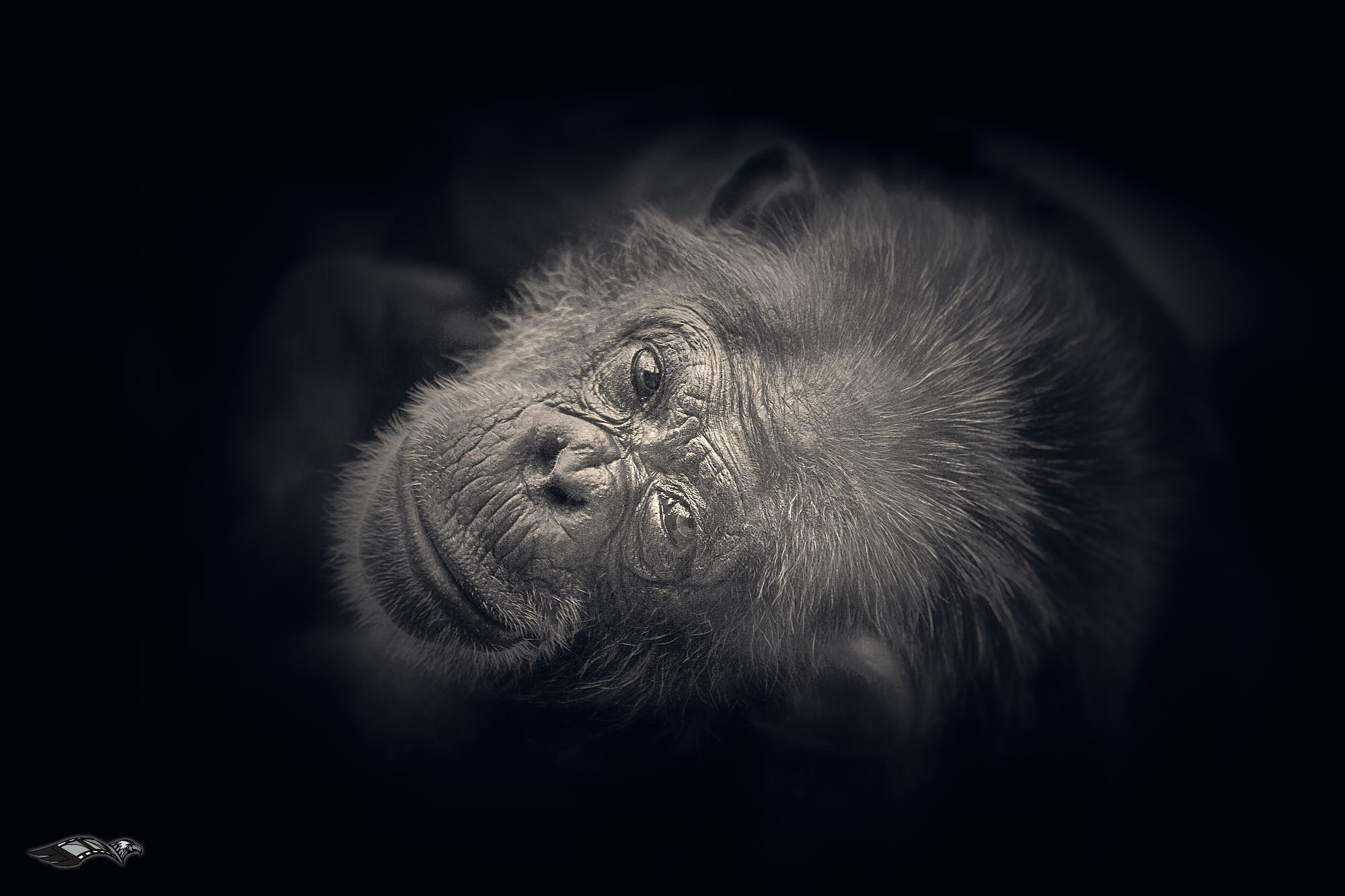 Physiologie de l'oeil — Regard photographique